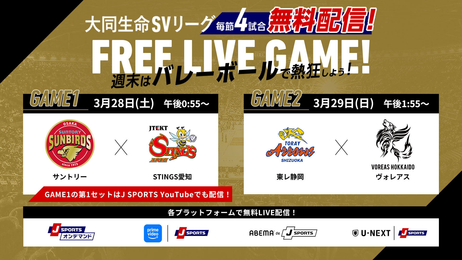 SV男子 第19節見どころ】首位サントリーは3位STINGS愛知、2位大阪Bは4